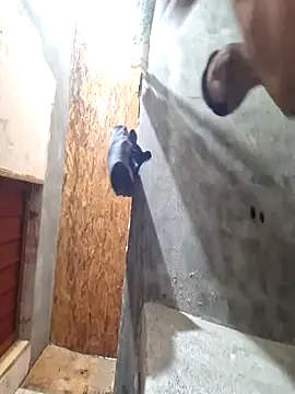 sanz957 online show from 11.14.25