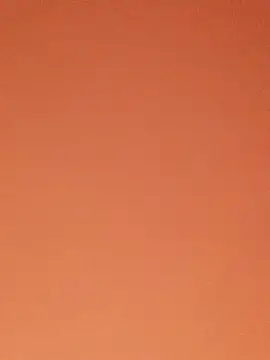 SiennaBite online show from 11.26.25