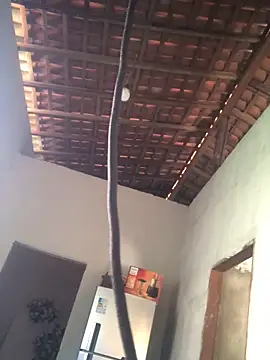 Snapshot of Ralf2011 chatting on 12.04.25 Ralf2011 online show from 12.04.25