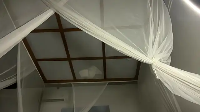 Bae Belle online show from 12.21.25