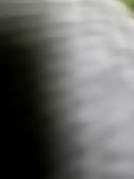 playboy210600 online show from 02.05.26