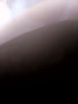 Snapshot of pino870 chatting on 01.14.26 pino870 online show from 01.14.26