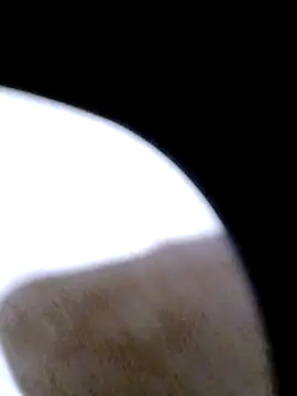 Snapshot of pino870 chatting on 02.20.26 pino870 online show from 02.20.26