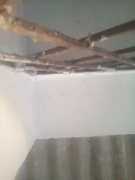 Pallu Asha online show from 03.15.26