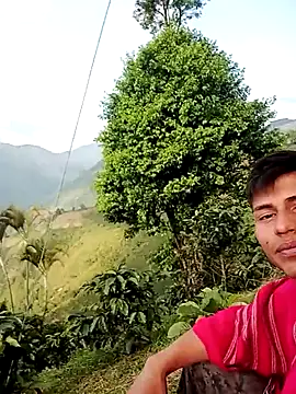 Ckinetor online show from 03.01.26