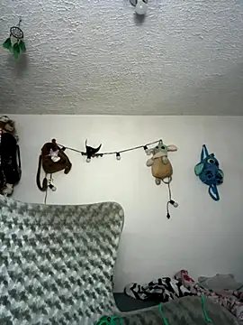 Snapshot of _haannaa chatting on 11.18.25 haannaa online show from 11.18.25