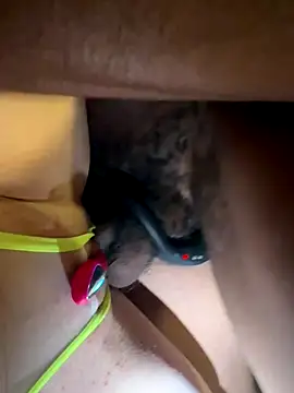 Snapshot of secretknight_Mrmask chatting on 11.22.25 secretknight Mrmask online show from 11.22.25