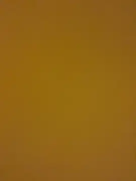 kentojp online show from 11.14.25