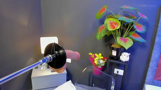 Amy whittee online show from 04.12.26