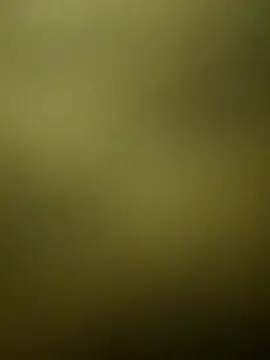 crazy boy55 online show from 12.15.25