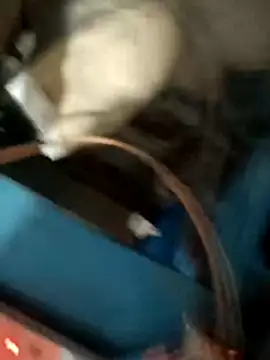 Snapshot of blackboy0741 chatting on 12.05.25 blackboy0741 online show from 12.05.25