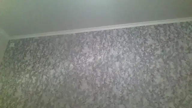 Snapshot of antosha555 chatting on 11.29.25 antosha555 online show from 11.29.25