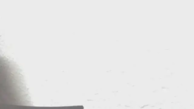 Calavera2001 online show from 12.16.25