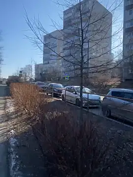 Dona Mafia online show from 12.22.25