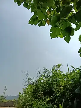 vangkt-cute online show from 05.16.26