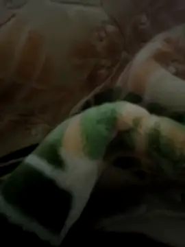 Snapshot of sosalAltimeter chatting on 11.29.25 sosalAltimeter online show from 11.29.25