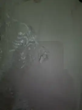 dalou3a22 online show from 12.20.25