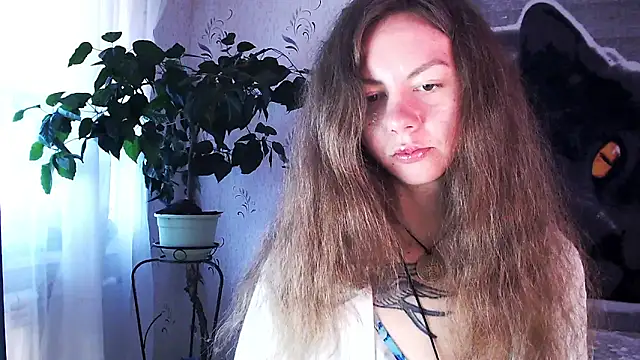 Personal Bulldozer online show from 12.22.25