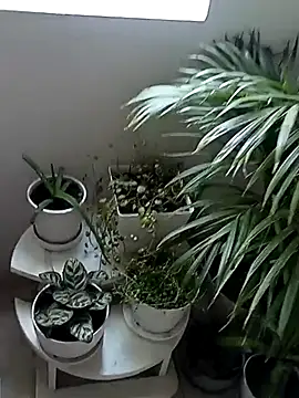 Rouse hot  online show from 01.10.26