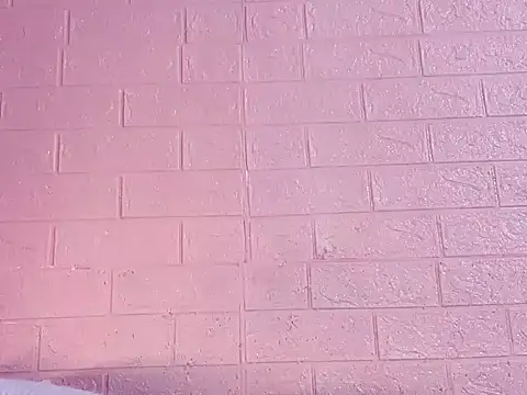 Lina8386 online show from 11.29.25