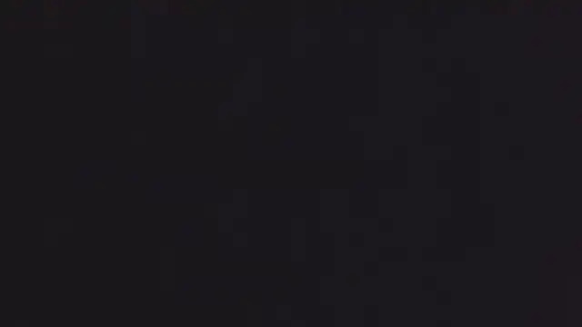 lizmy online show from 12.18.25