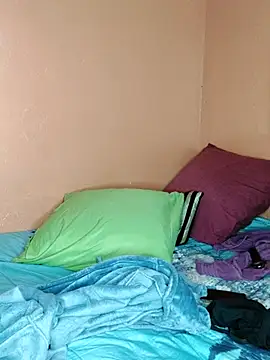 Snapshot of Naive618 chatting on 04.13.26 Naive618 online show from 04.13.26