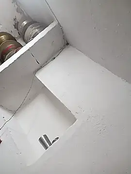 Anushasharma89 online show from 02.22.26