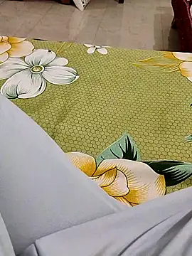 Snapshot of Sagarnp chatting on 11.20.25 Sagarnp online show from 11.20.25