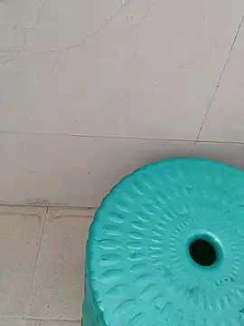 Snapshot of Sagarnp chatting on 12.03.25 Sagarnp online show from 12.03.25