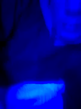 FrappedLocking online show from 05.22.26