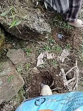 Pampirara online show from 03.21.26