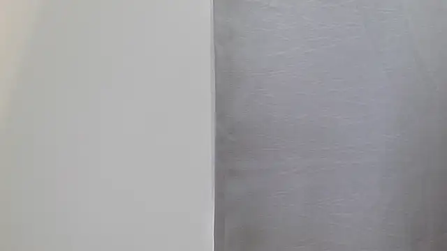 Camii 29 online show from 12.18.25