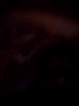 Roy   121 online show from 11.23.25