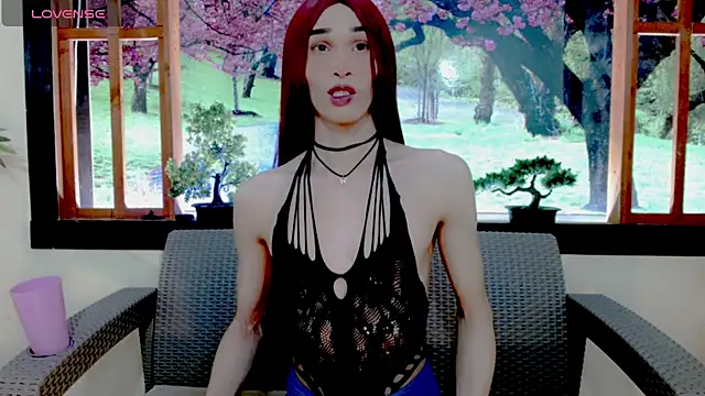 britanny noroeste online show from 02.13.26