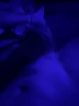 Tommy777B online show from 02.07.26