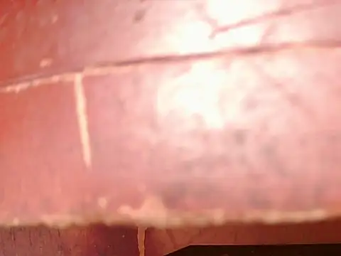 Snapshot of ashleey_palmer chatting on 11.26.25 ashleey palmer online show from 11.26.25