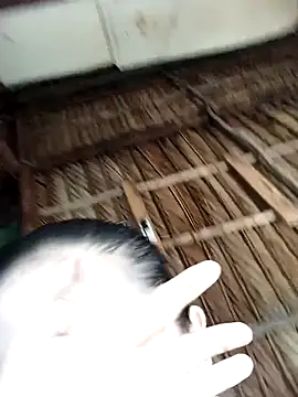 Lin-kute98 online show from 02.09.26