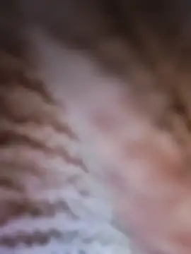 Punam panjabi online show from 02.28.26