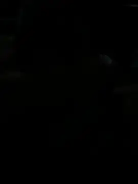 BigDick-A-Money online show from 04.28.26