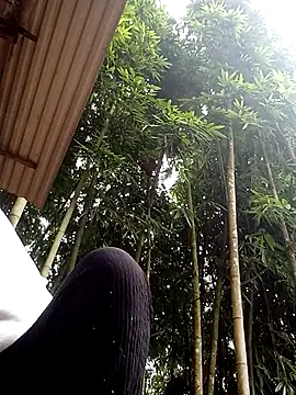 hey-bana online show from 12.17.25