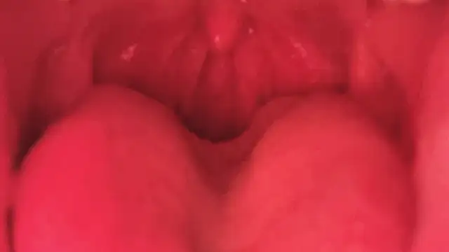 LT-333 online show from 01.11.26