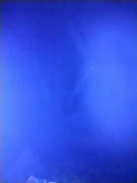 qaarlyfogosa online show from 02.11.26