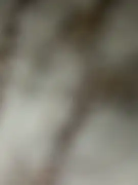 Chrisd3195 online show from 02.22.26