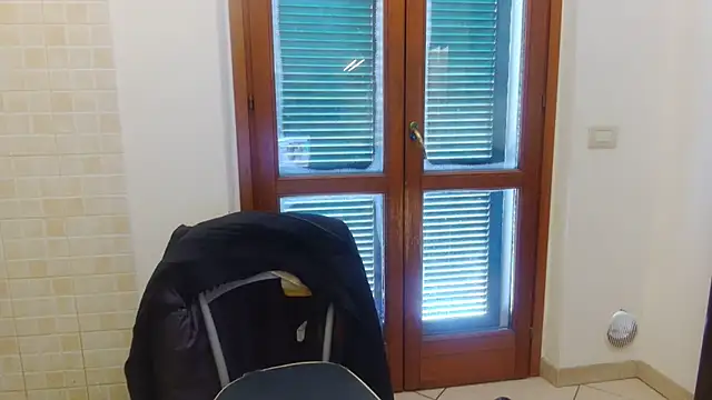 AMIRDIB2025 online show from 02.21.26