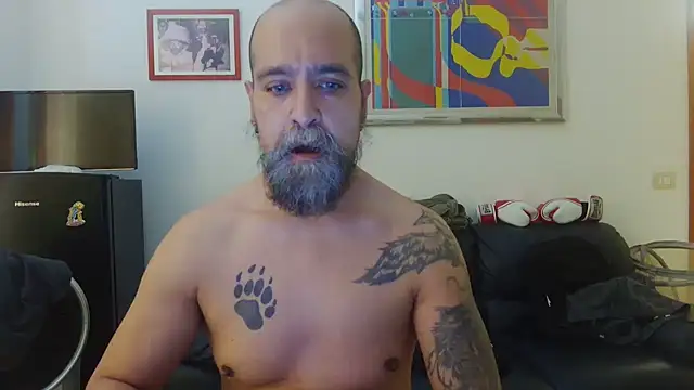 Snapshot of AMIRDIB2025 chatting on 06.15.26 AMIRDIB2025 online show from 06.15.26