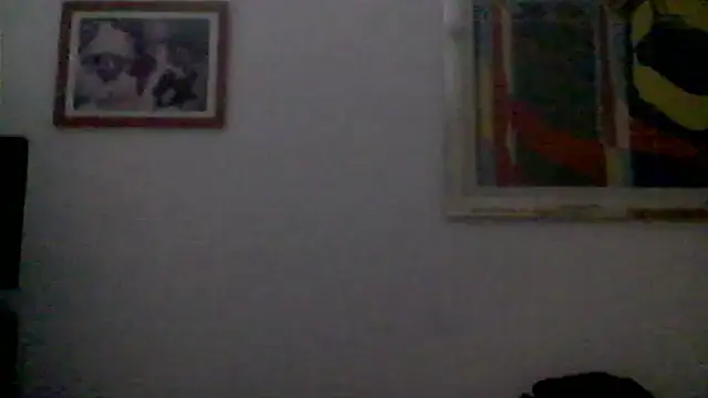 Snapshot of AMIRDIB2025 chatting on 06.16.26 AMIRDIB2025 online show from 06.16.26