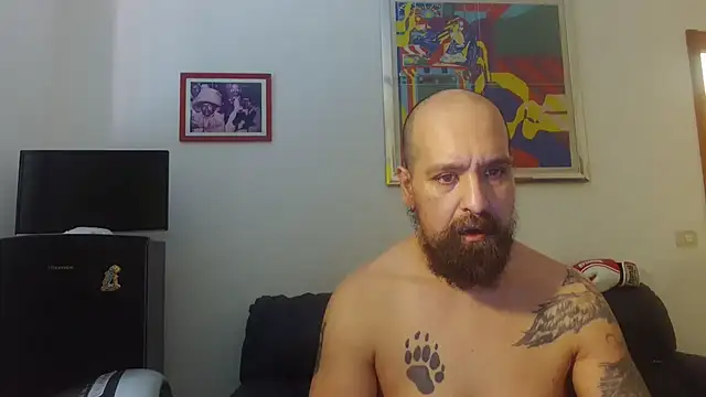 Snapshot of AMIRDIB2025 chatting on 06.17.26 AMIRDIB2025 online show from 06.17.26