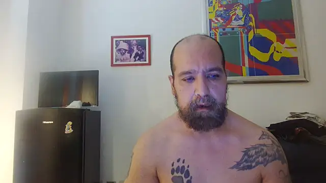 Snapshot of AMIRDIB2025 chatting on 07.19.26 AMIRDIB2025 online show from 07.19.26