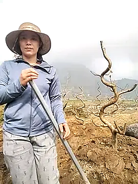 Alibabapi online show from 03.25.26