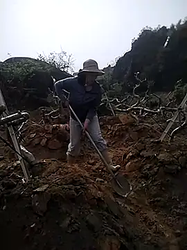 Alibabapi online show from 03.26.26